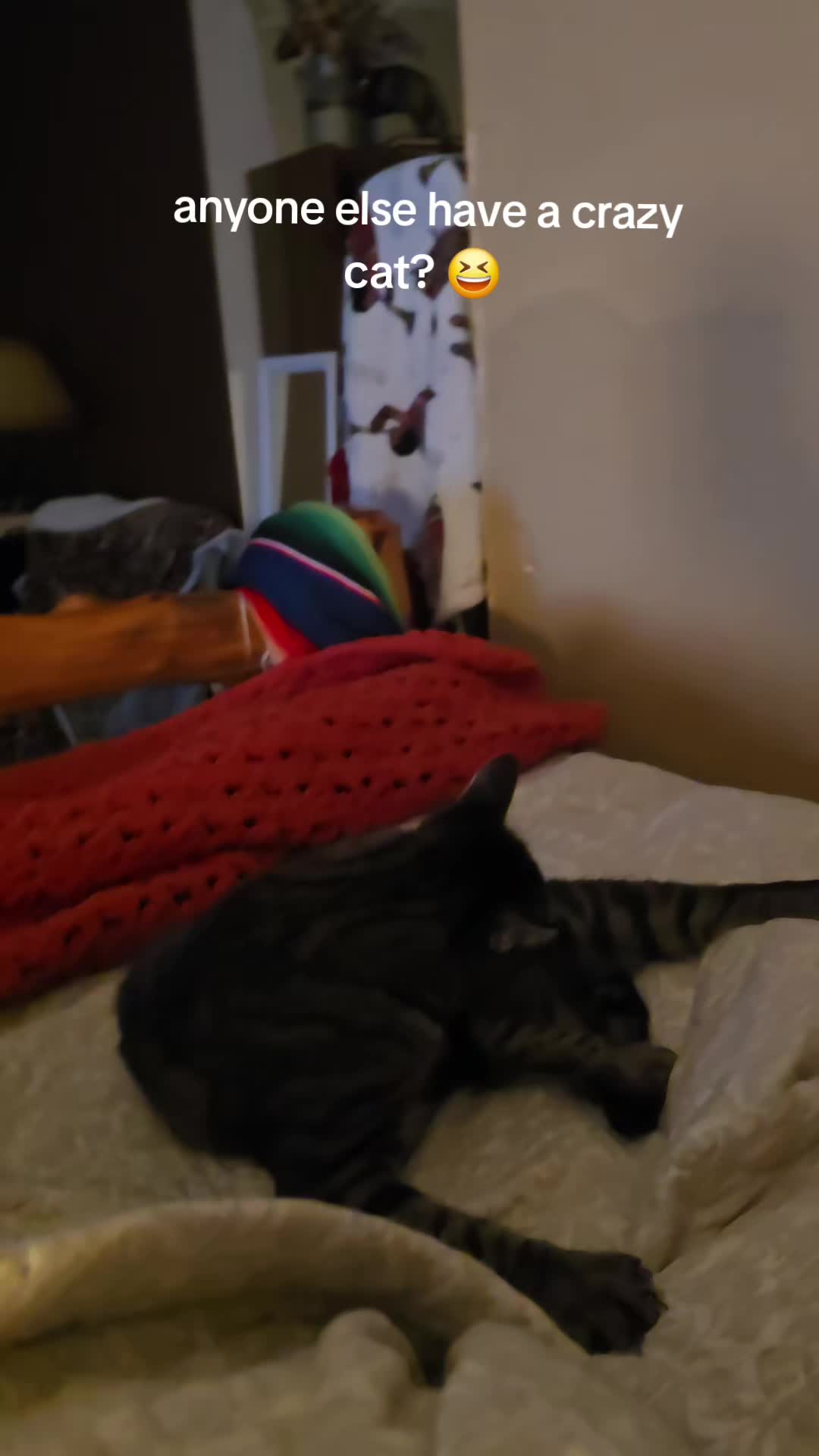 @jessicatodd185