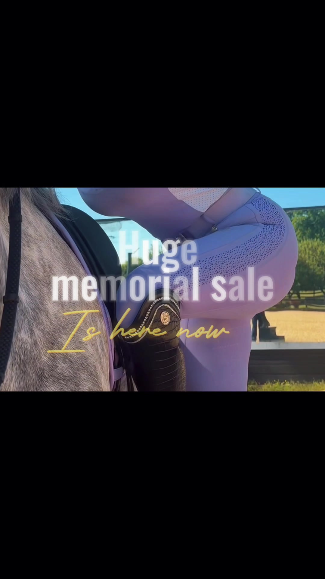@Sync Equestrian