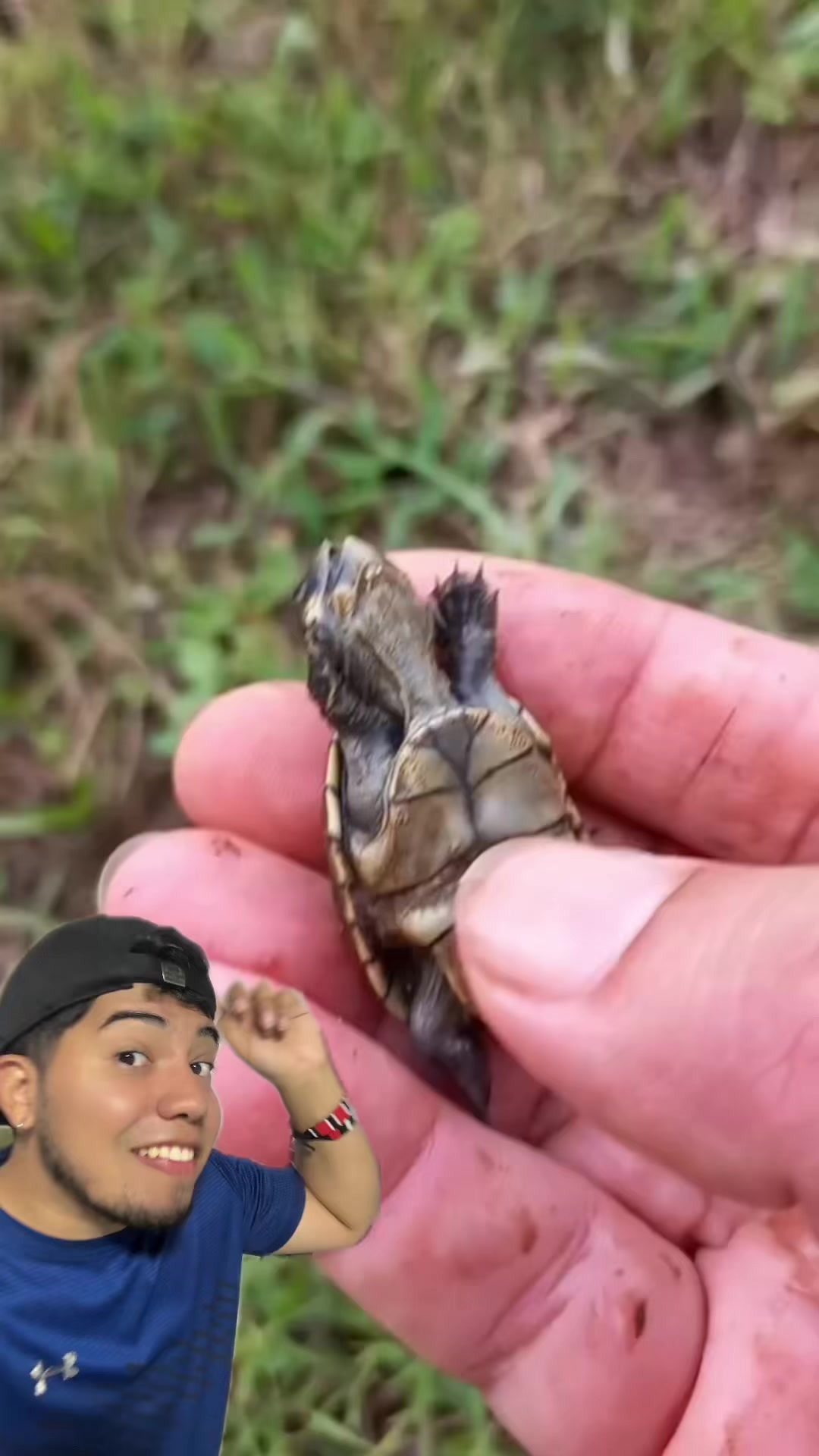 @Soy Sebassalvaje (d&uacute;os)