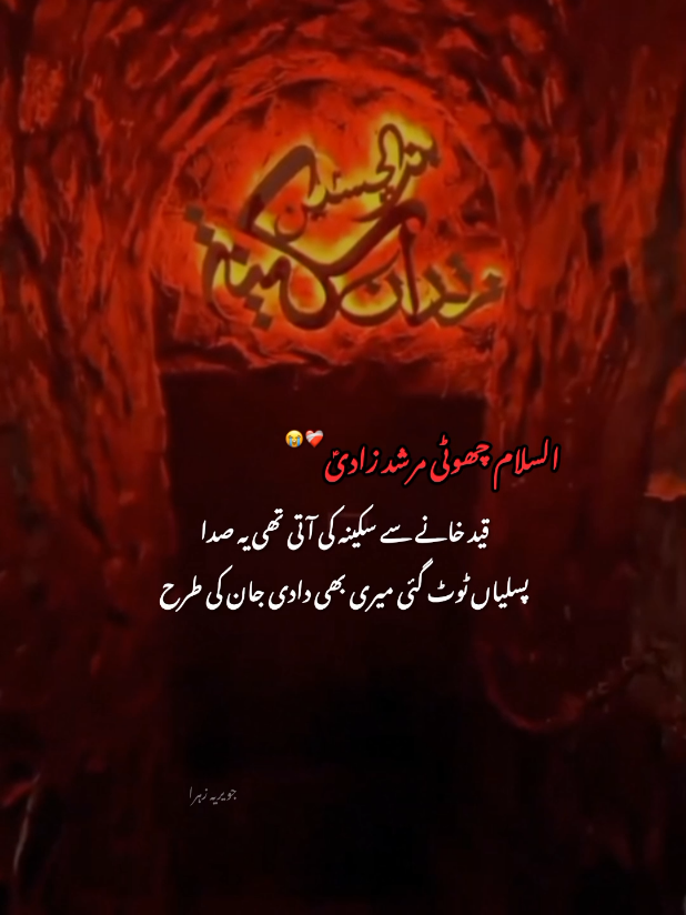 @hussaini vibe