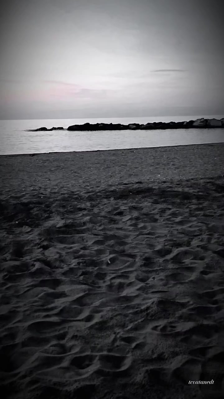 @Aleyna