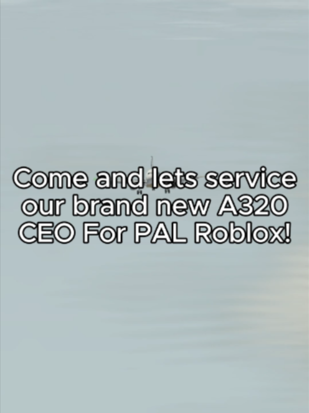 @flypal