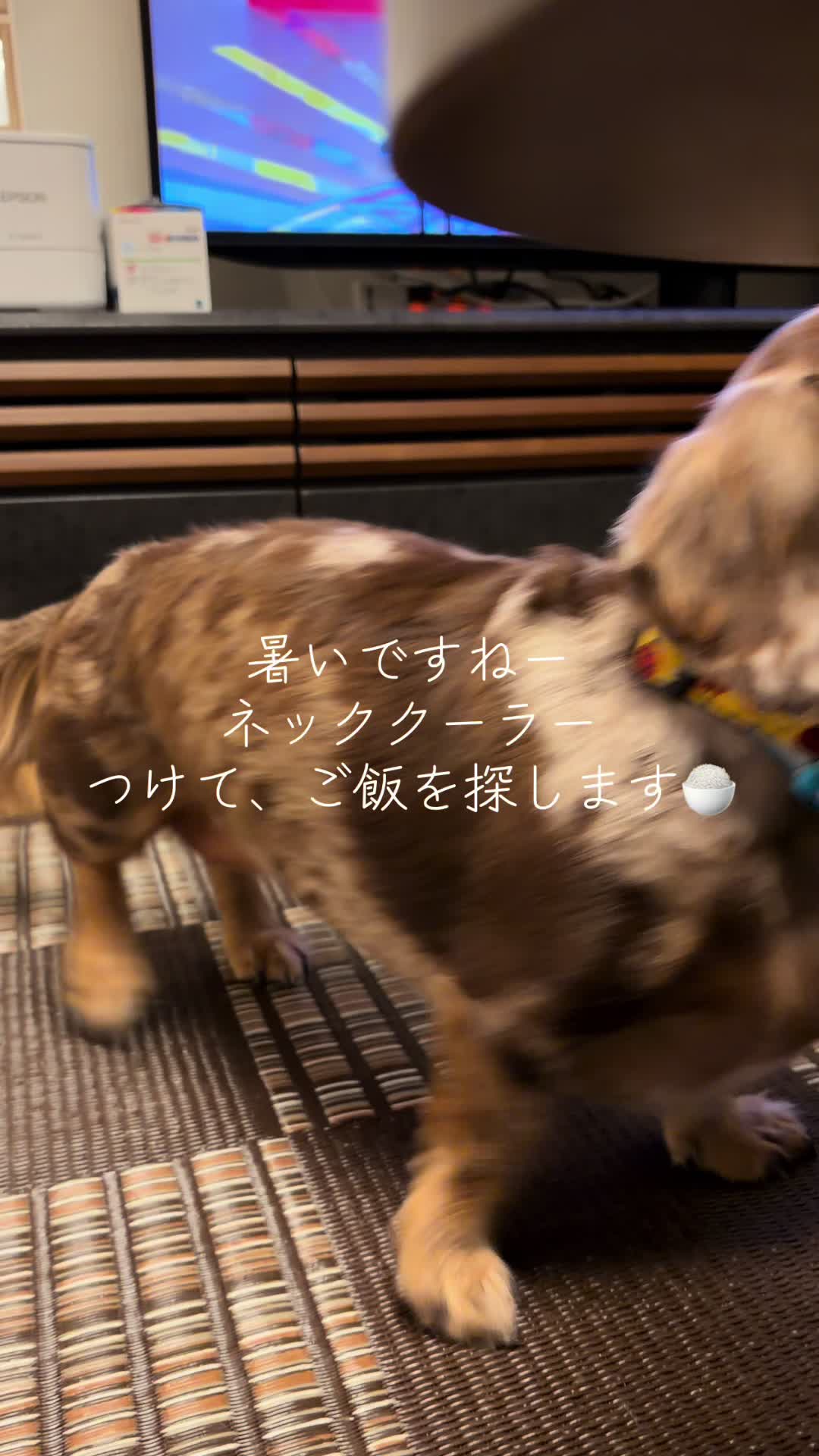@ケン
