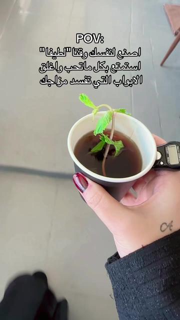 @آلُـ&lsquo;ـُمُـ&lsquo;ـُلُـ&lsquo;ـُكُـ&lsquo;ـُه♛👑不