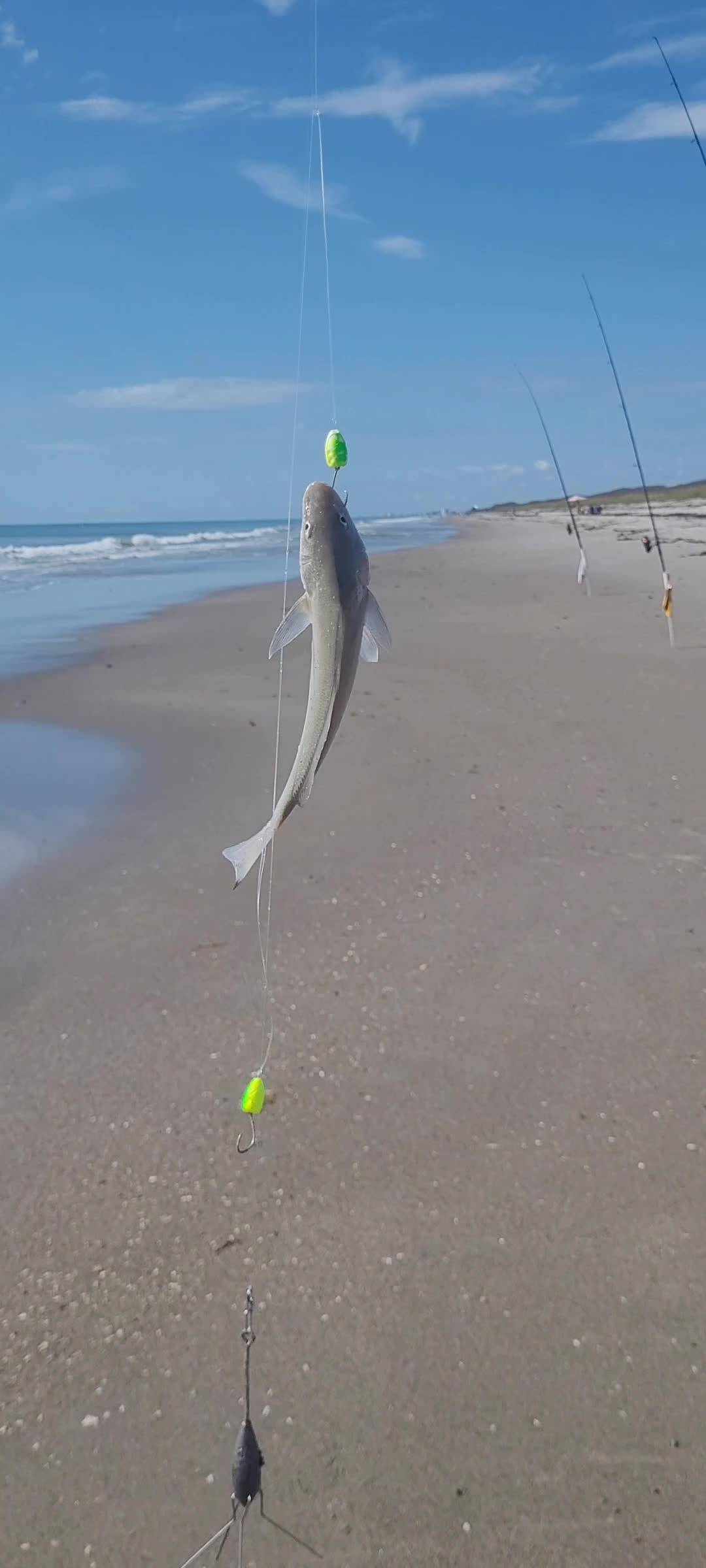 @Ghost of Space Coast Fishing