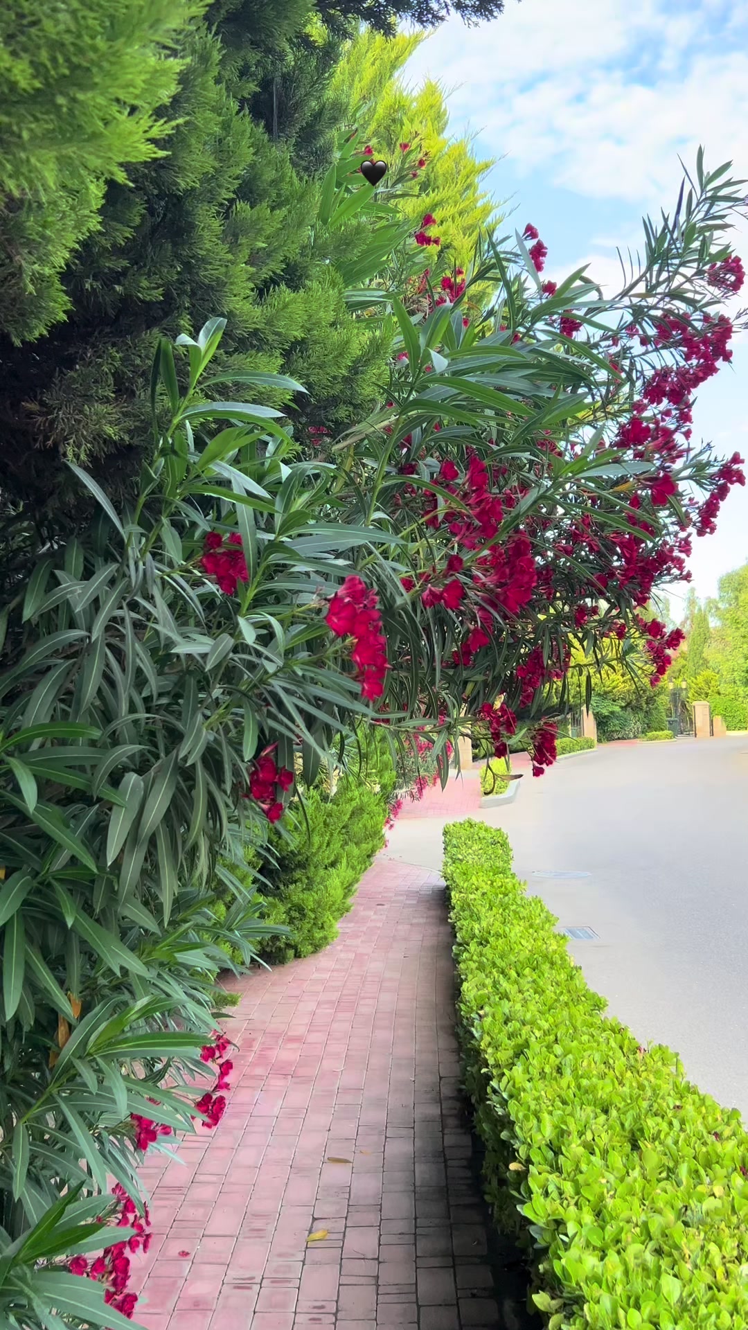 @𝐈𝐒𝐎𝐎