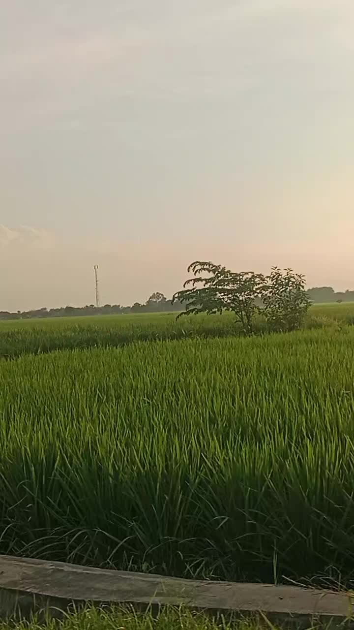 @Korban_Rayuan93