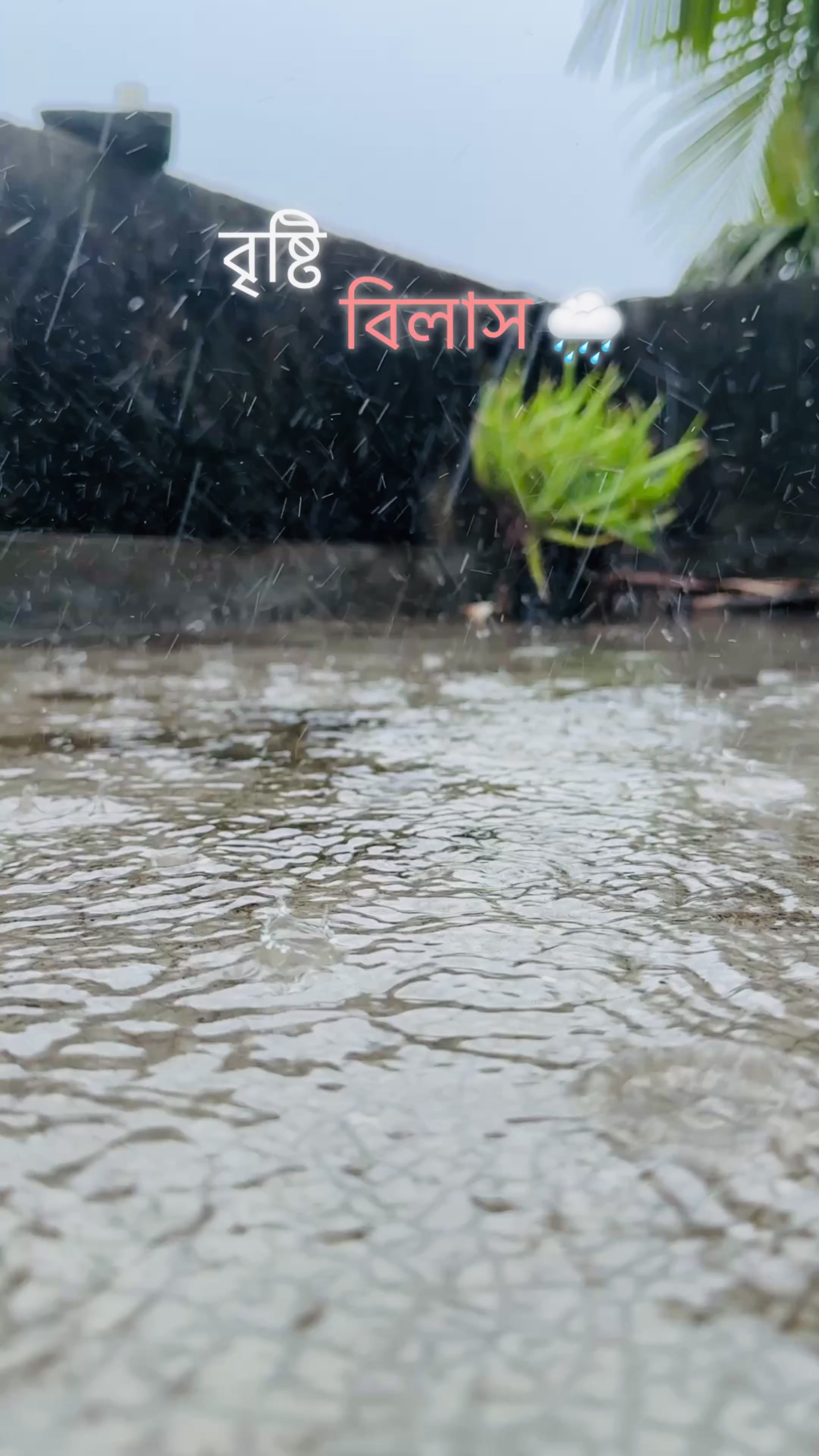 @Dr.Anuradha Datta ❤