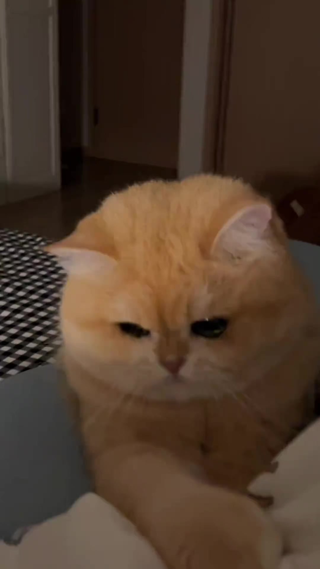 @trạm cute