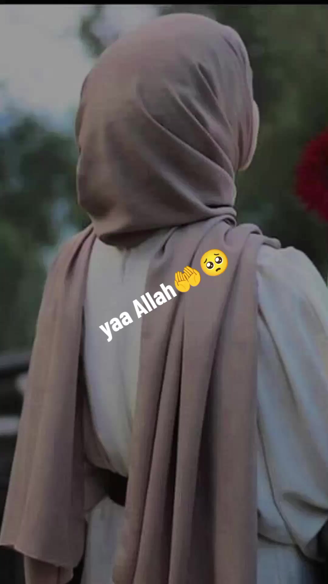 @Hanga yommitt garuu🤭