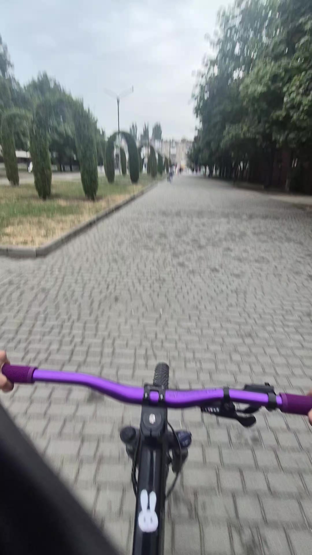 @𝗿𝗲𝗻𝘃𝗼𝘅