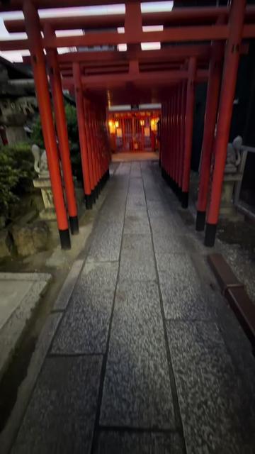 @☘️えりんこ☘️👽