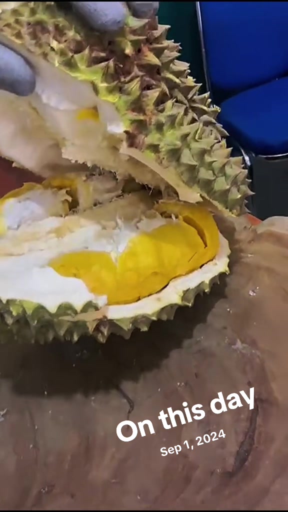 @CICIP DURIAN