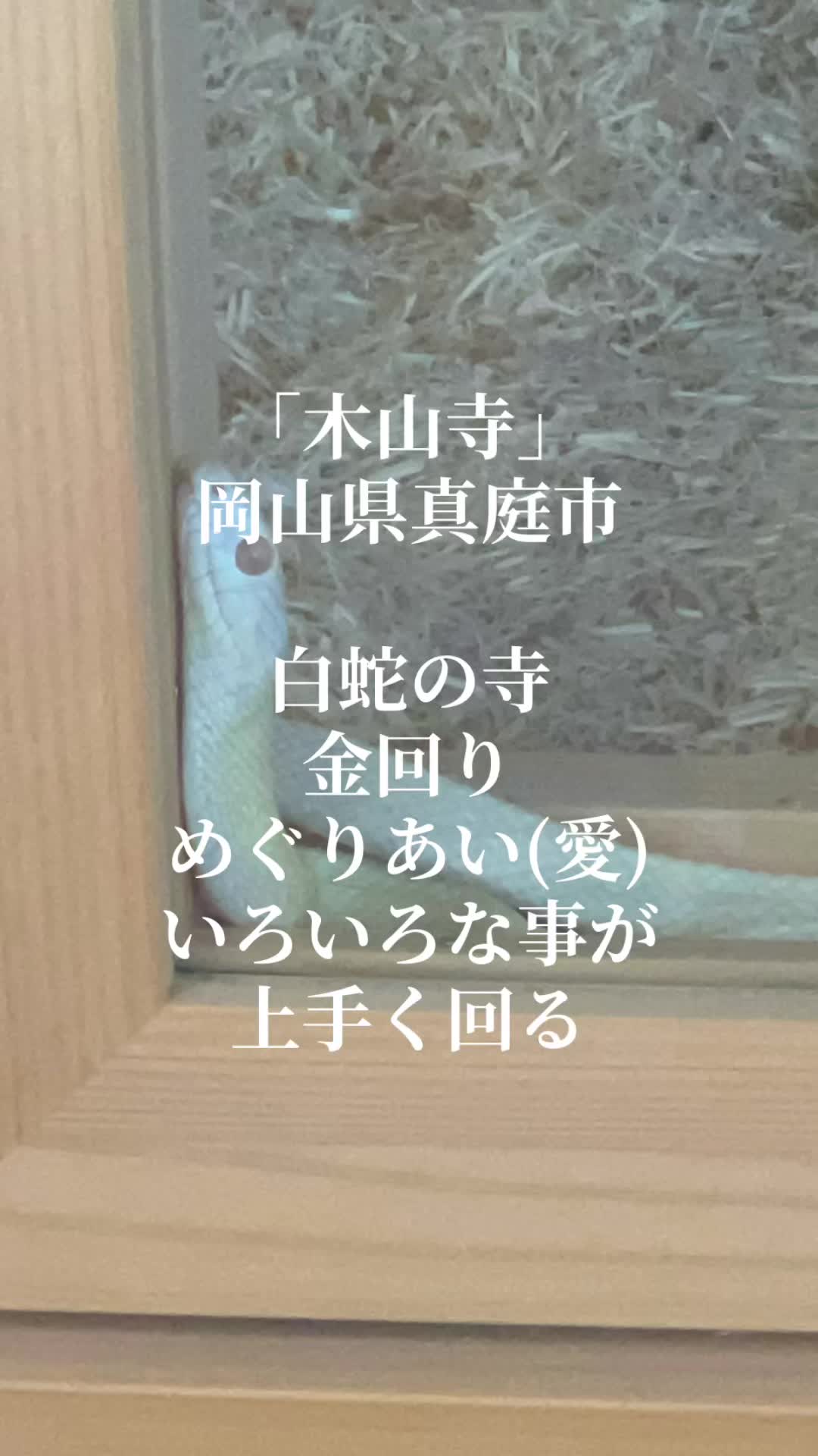 @かっぱ親分