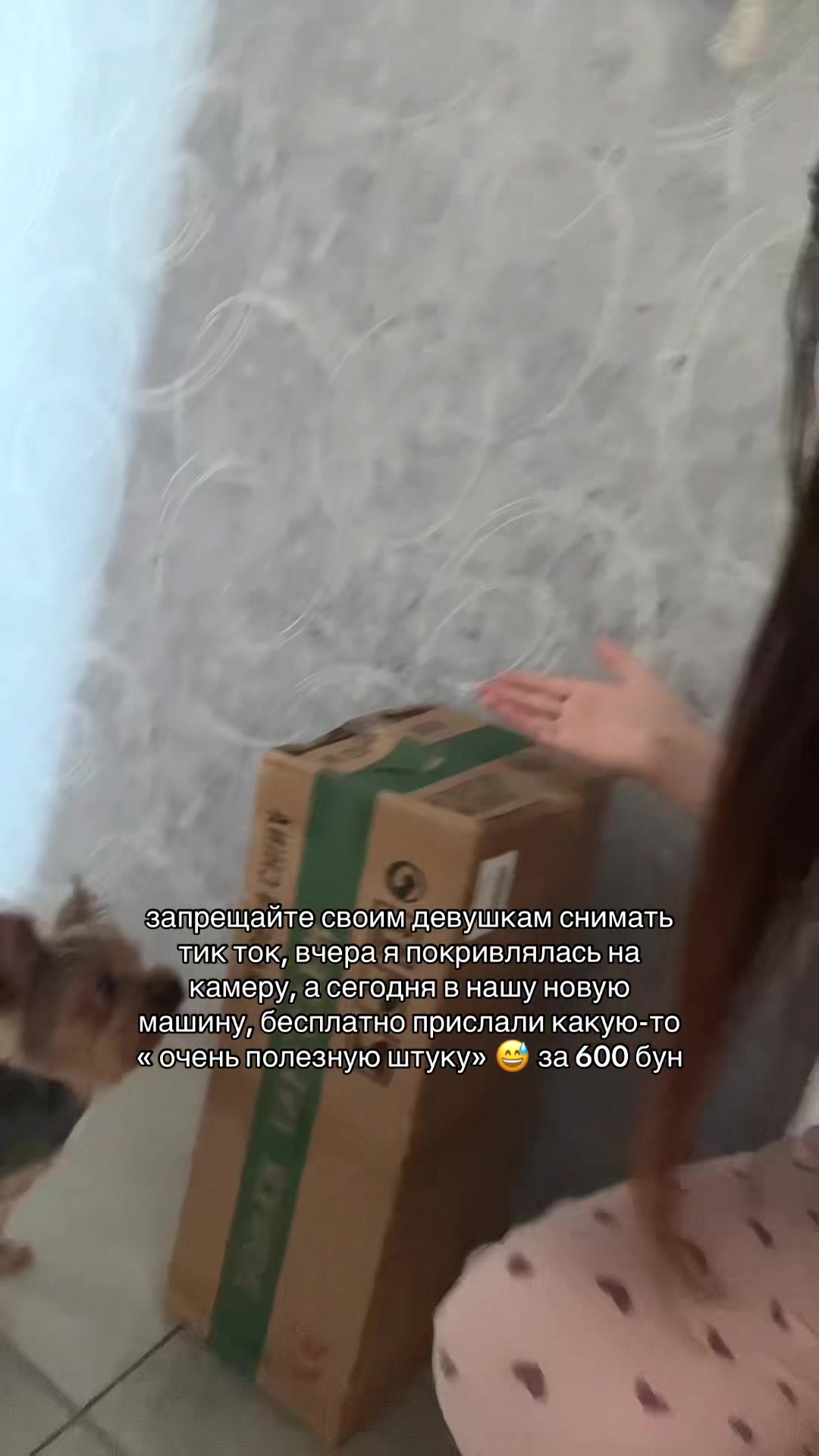 @ТГК: Кискина😼