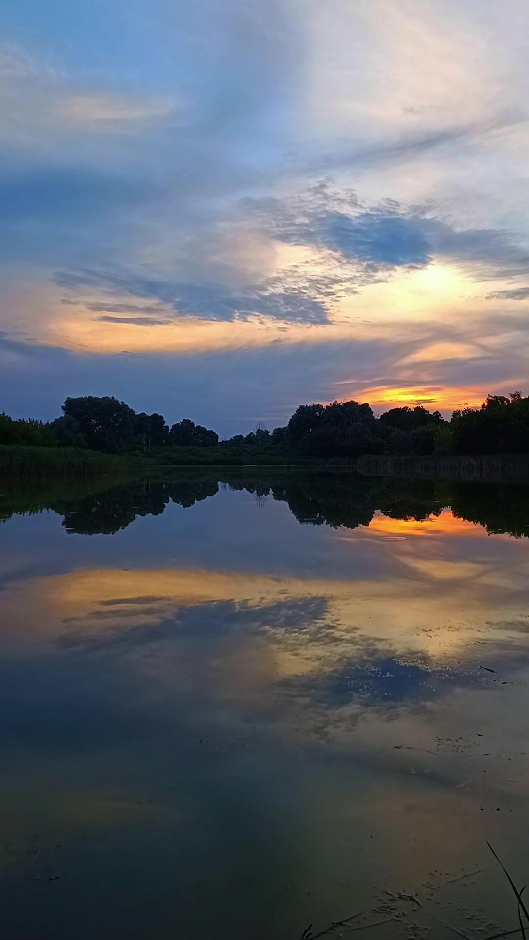 @ксюшик💙💛
