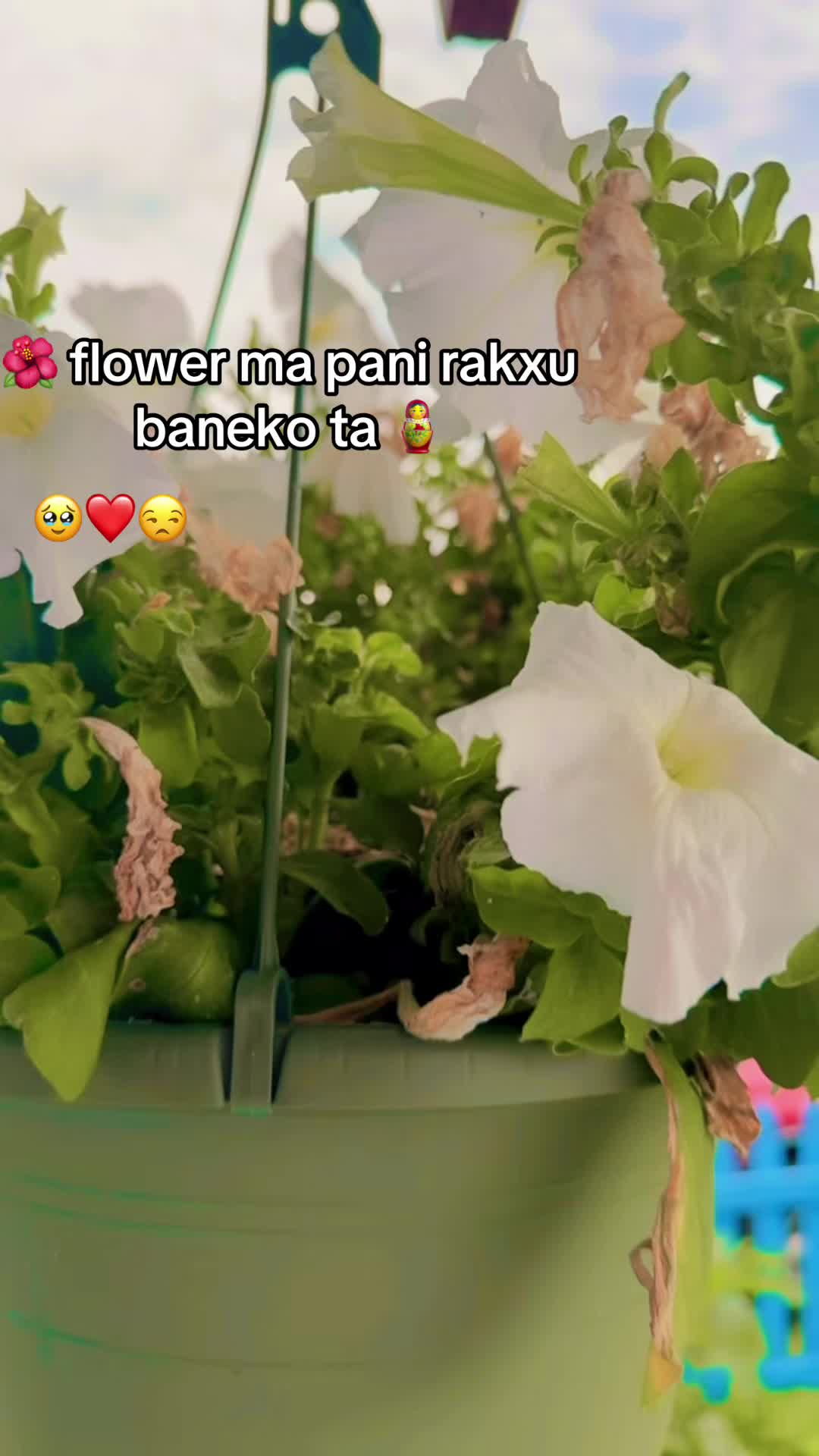 @radhapujara12