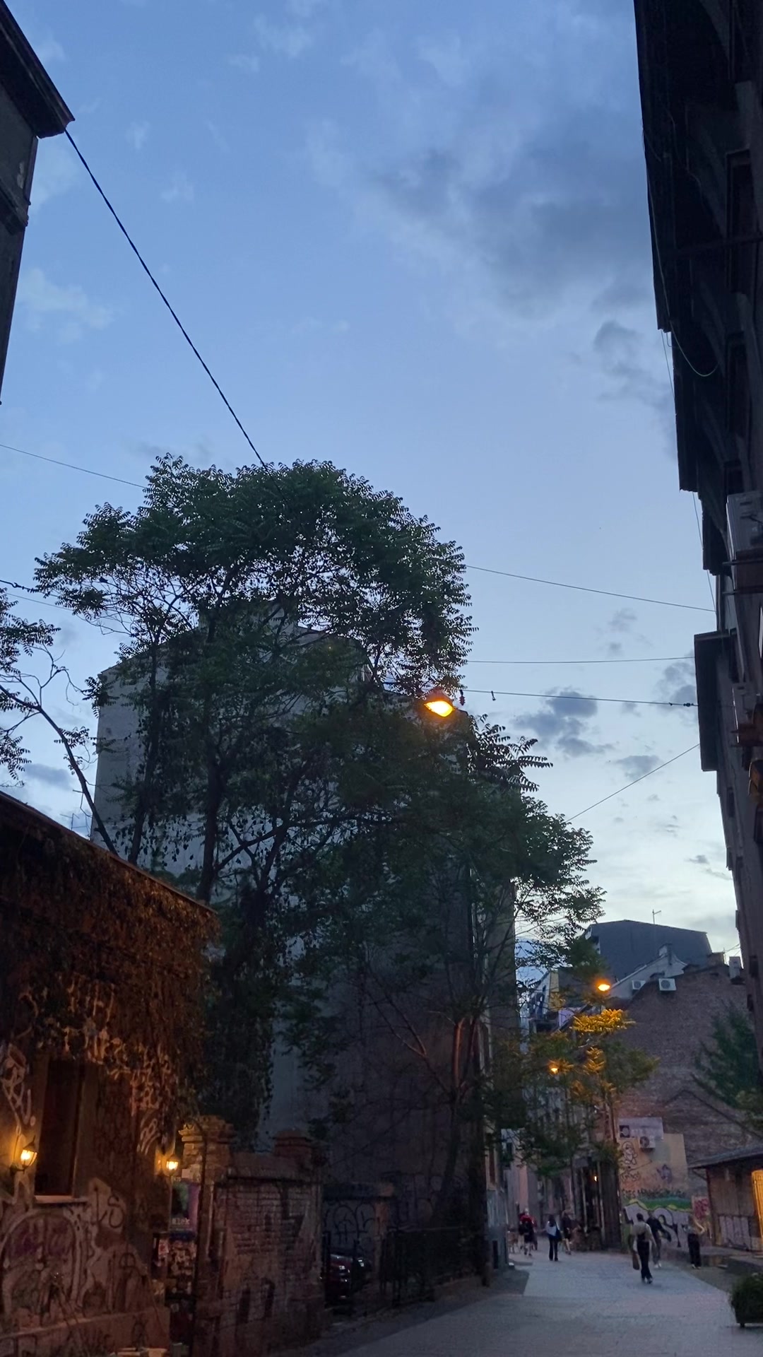 @Esteta