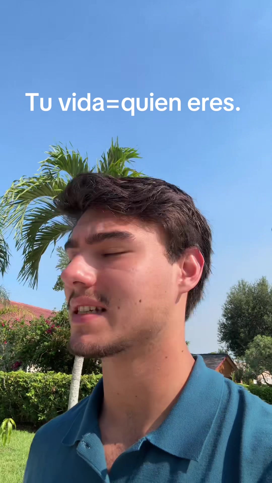 @mendiolaenusa