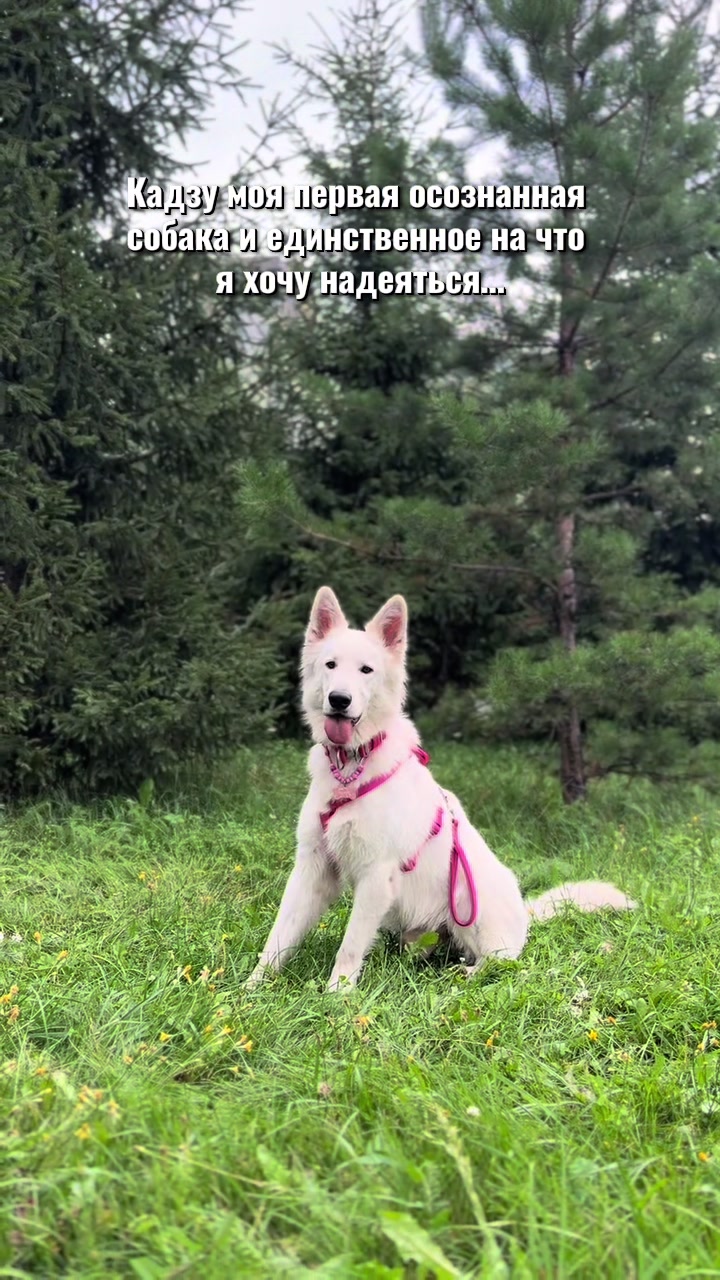 @🎀ASYA🎀 &🐶KADZU🐶