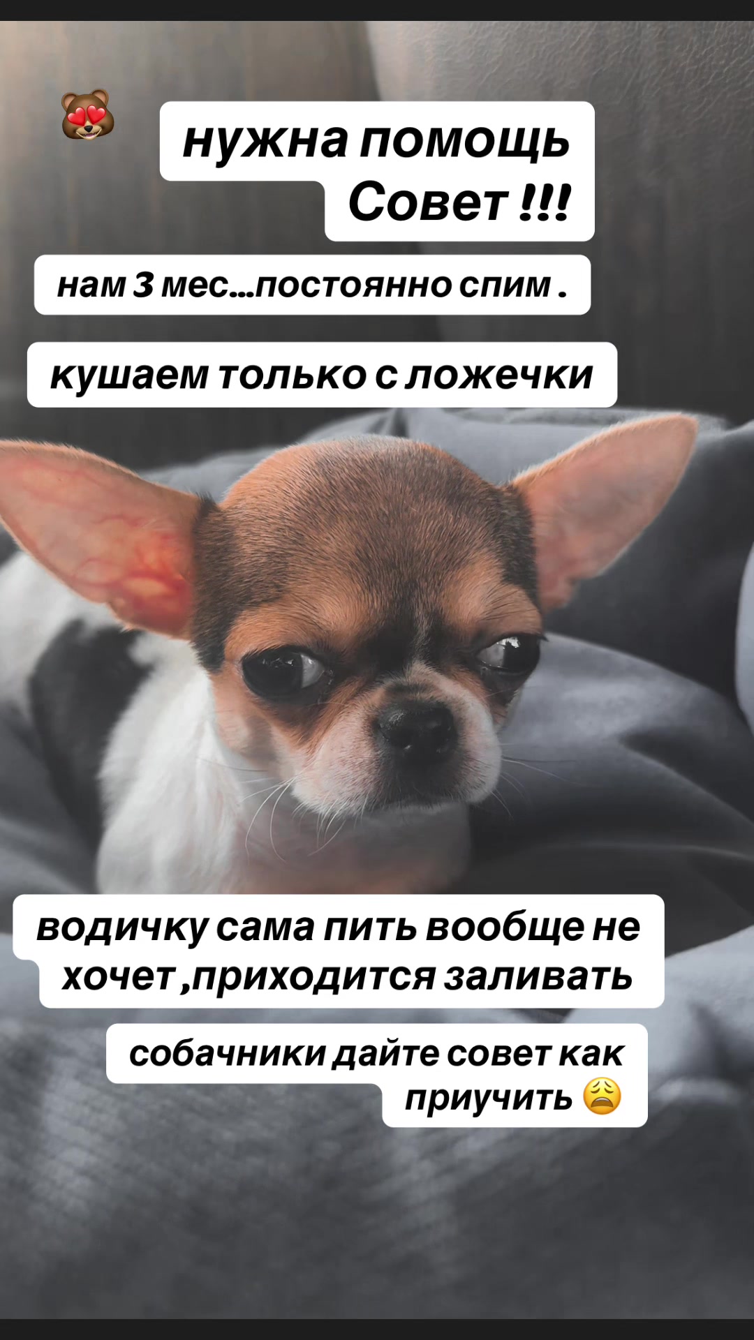 @😍Сергеевна💗