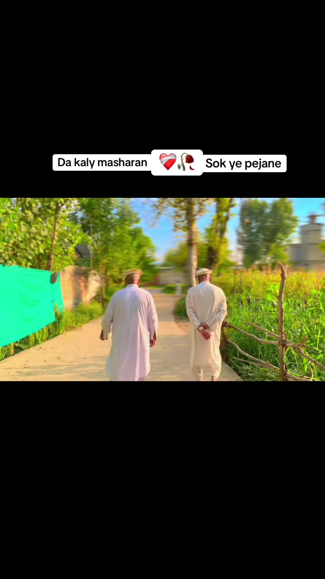 @MaAzi⛎