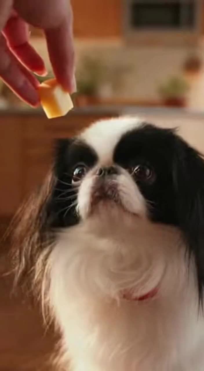 @Oreo