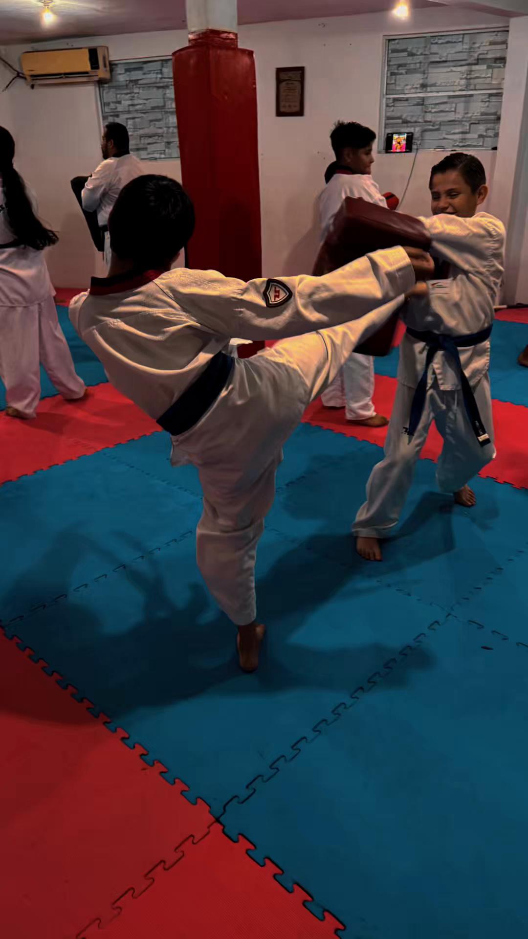 @taekwondolionsteam