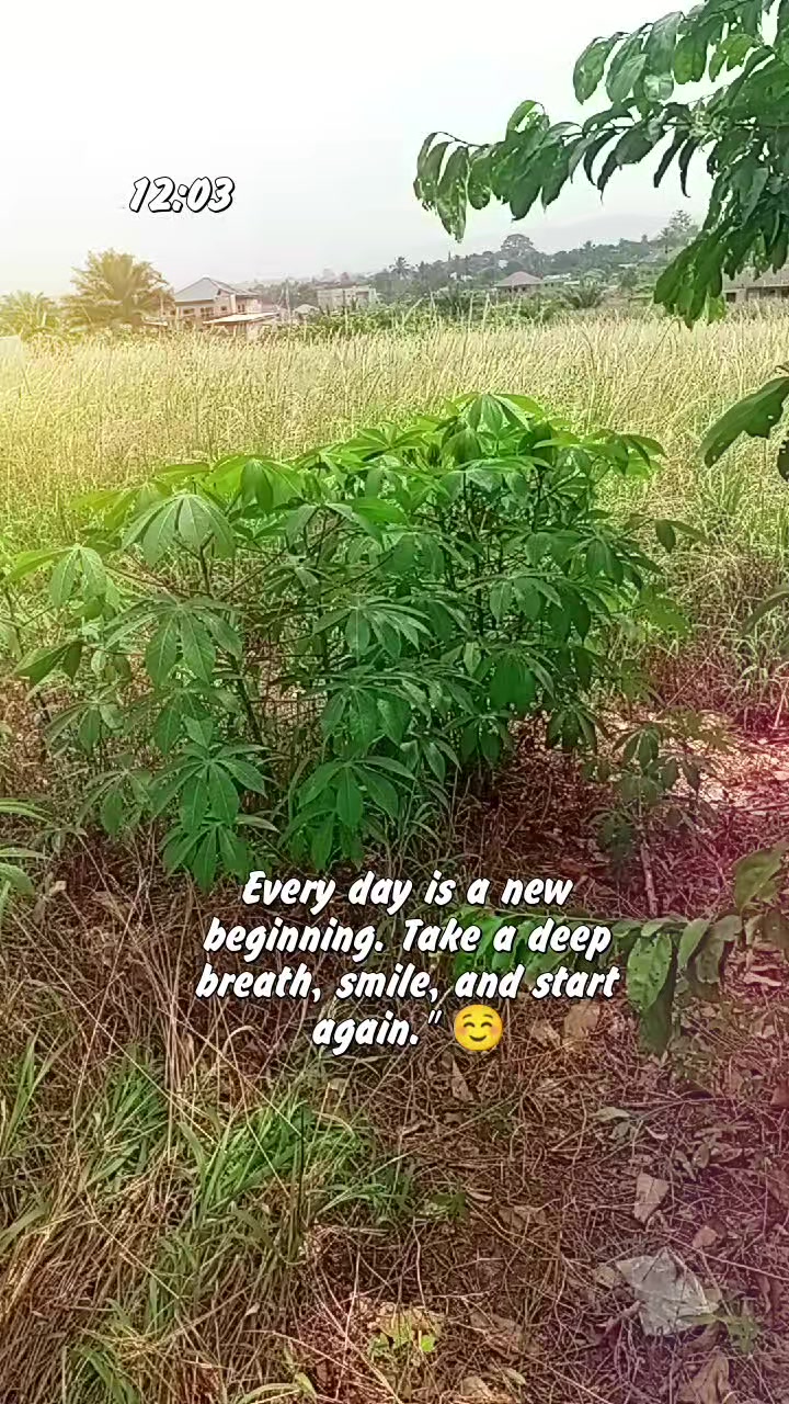 @Adamu