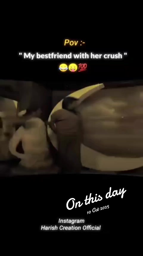 @muj627