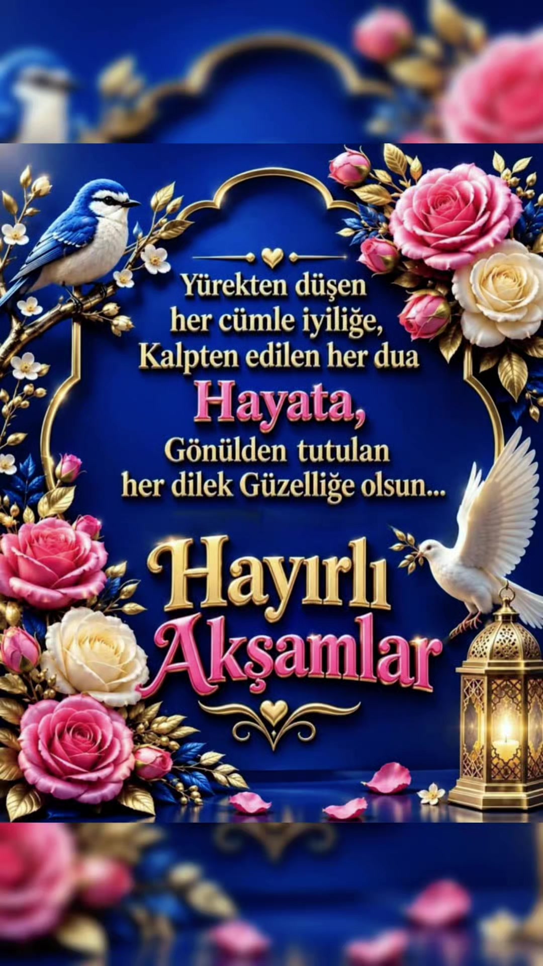 @Mehmet 46 maraşlı