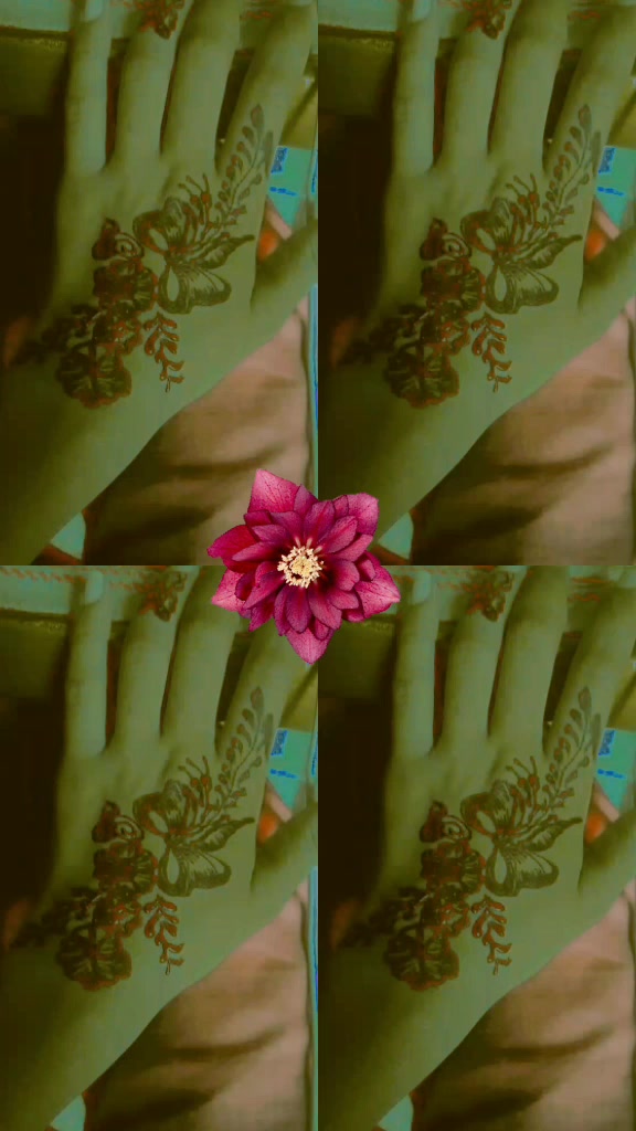 @itxz.. shahzadii 🌺