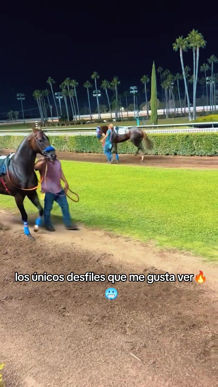 @carriles altos de jalisco🐎