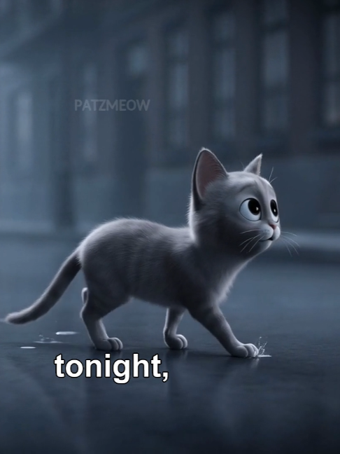 @patzmeow