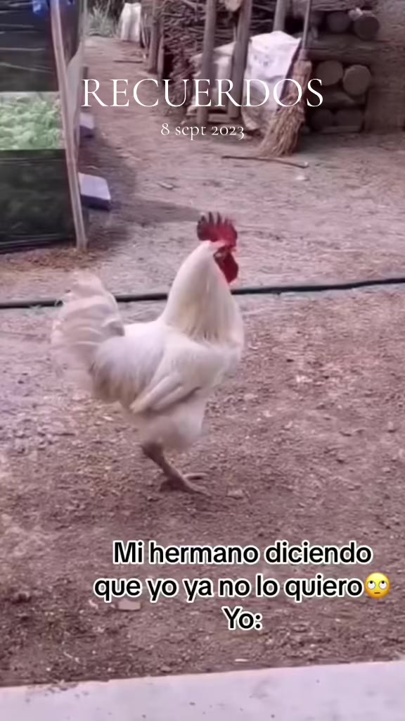 @Patric