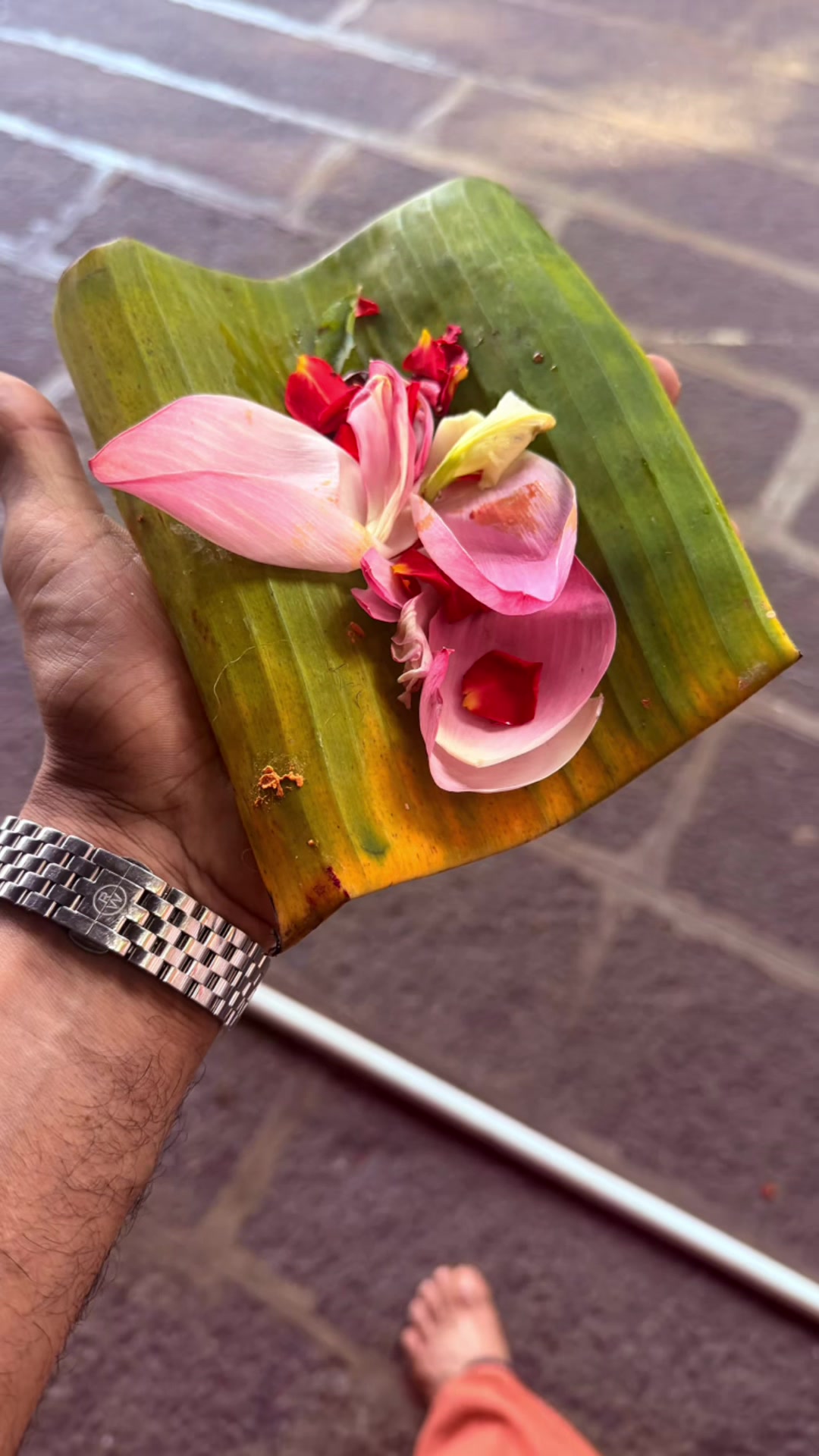 @Rej Kannur