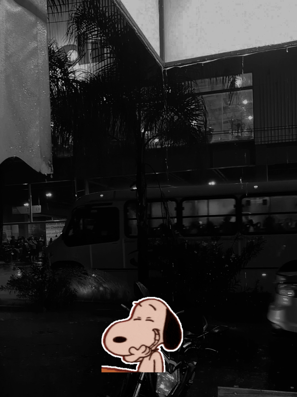 @ᥫ᭡𝑵𝒂𝒏𝒄𝒚🌻🩷👑