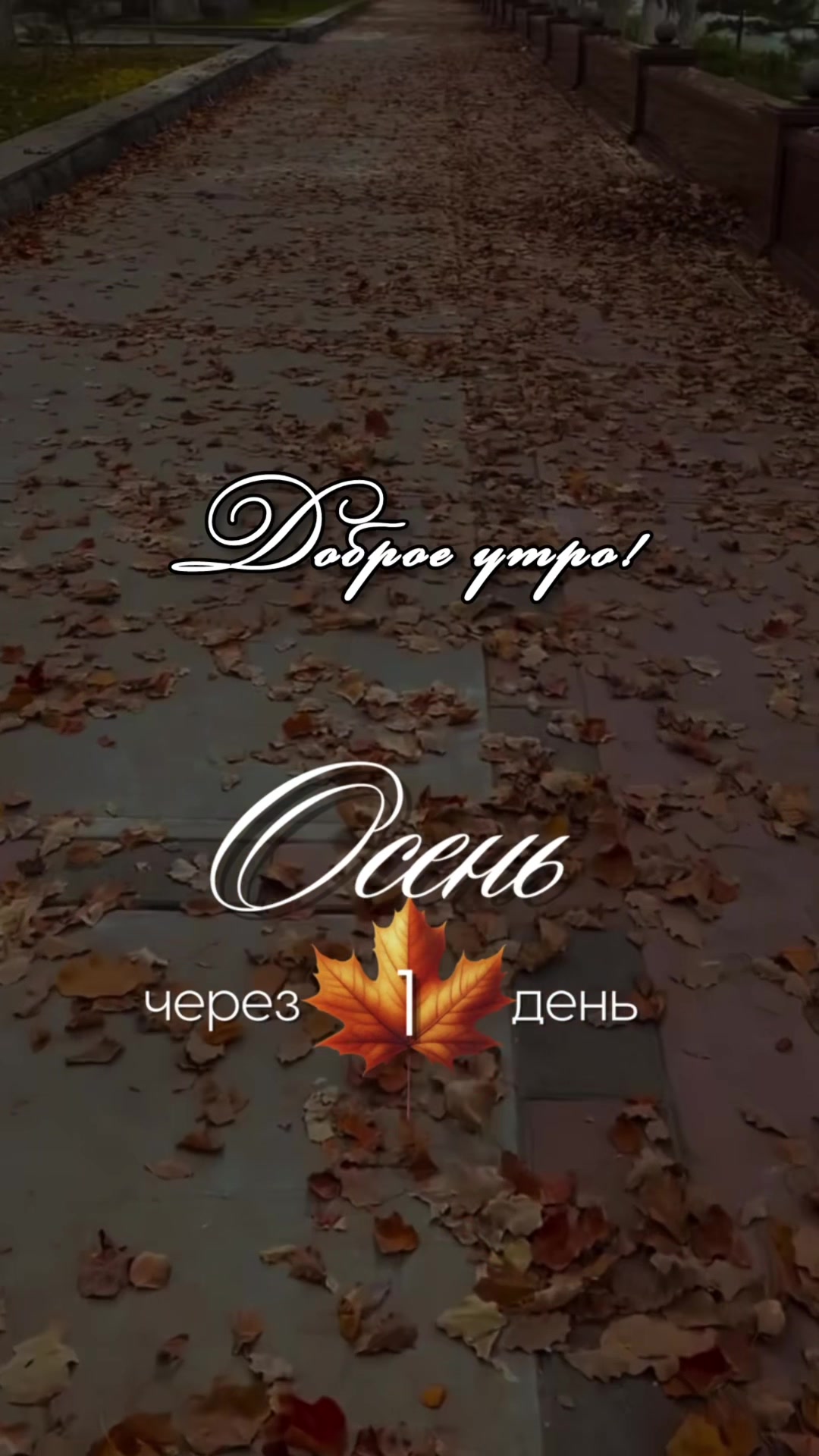 @Vera