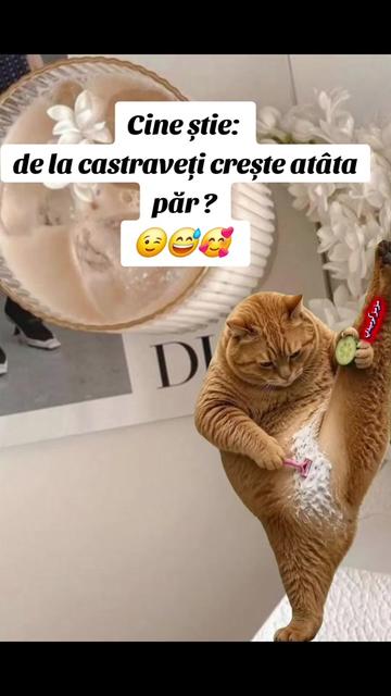 @Tasya