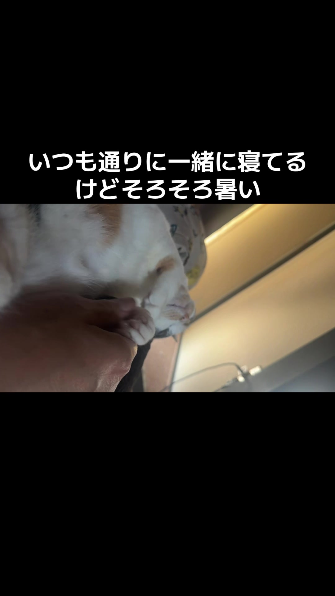 @rokusuke