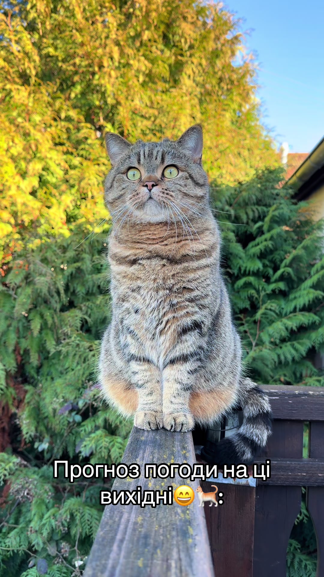 @Джоні 😻