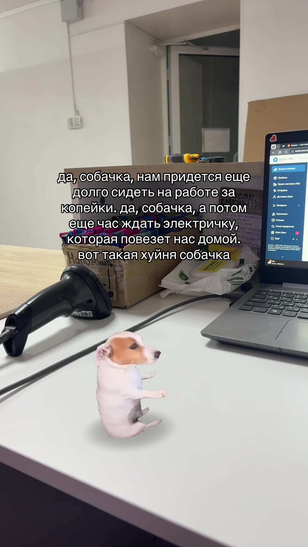 @софка
