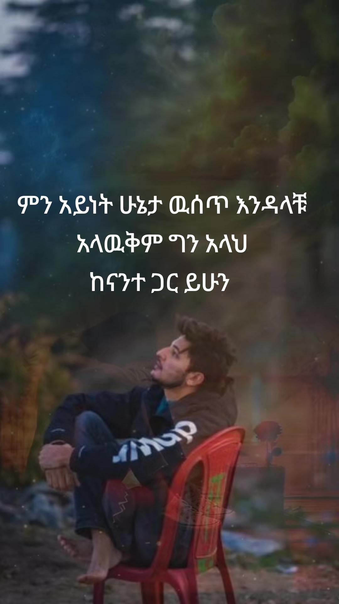 @zehara 🦋🦋🦋🦋