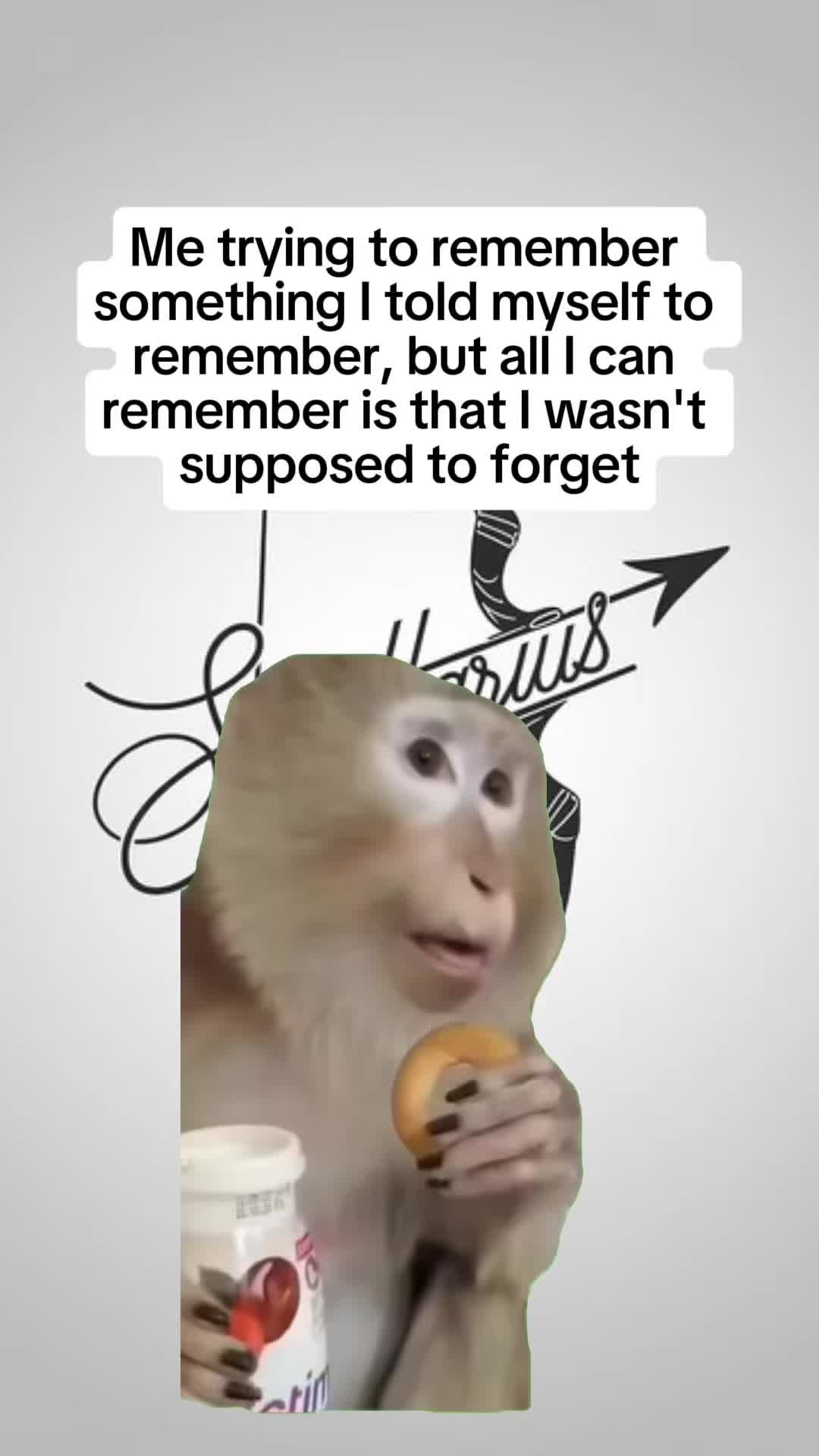 @Sagittarius