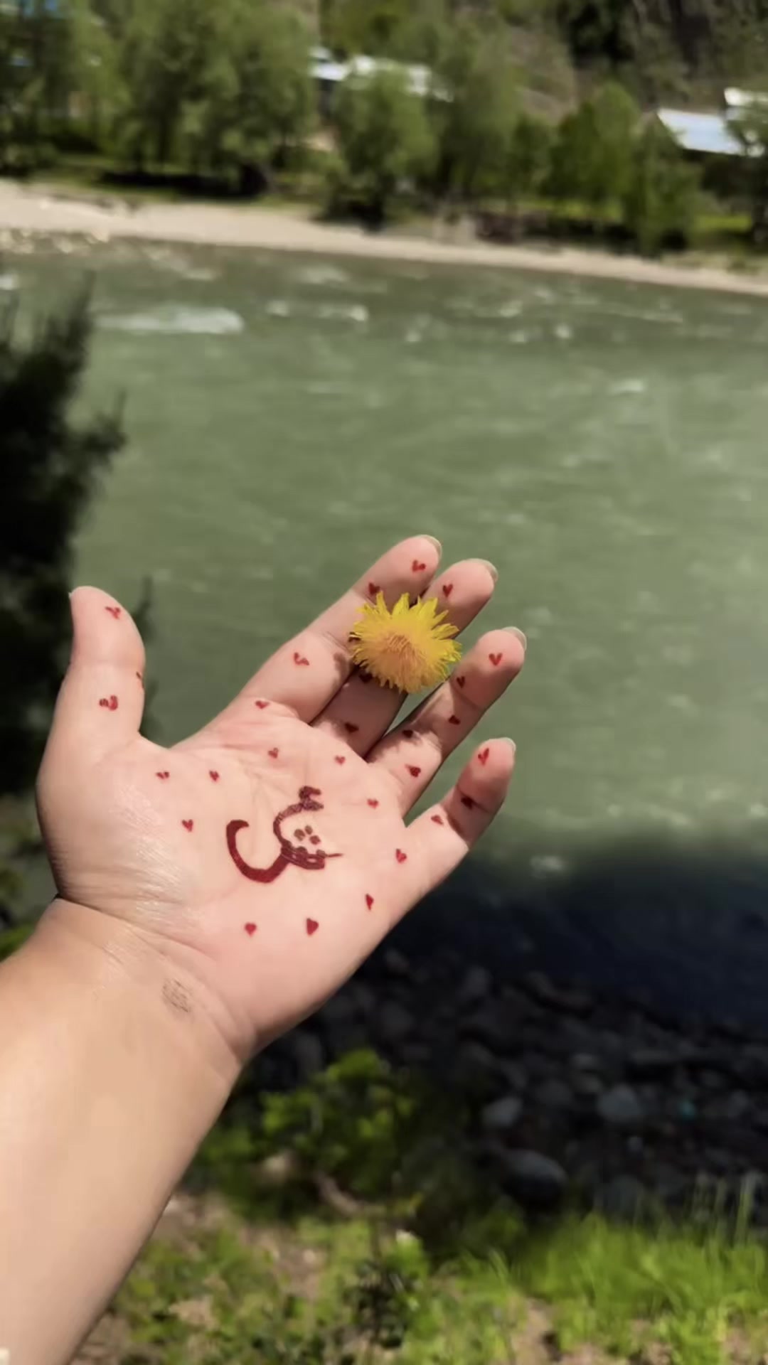 @Aliشhee✨