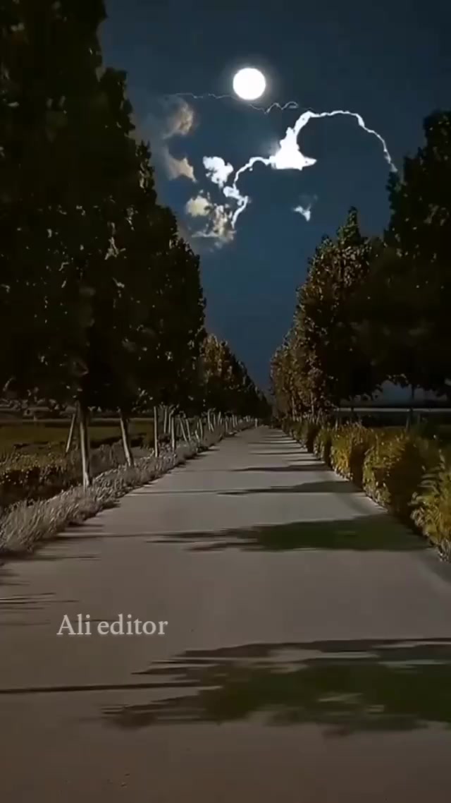 @{𝐀𝐋𝐢}&deg;𝐒𝐮𝐥𝐭𝐚𝐧 𝐨𝐅𝐅⛎