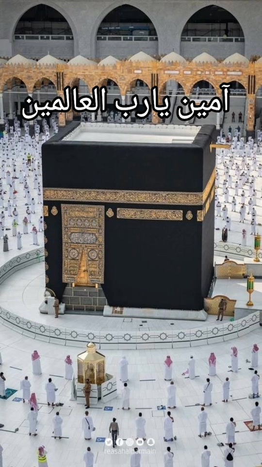 @rajputg008