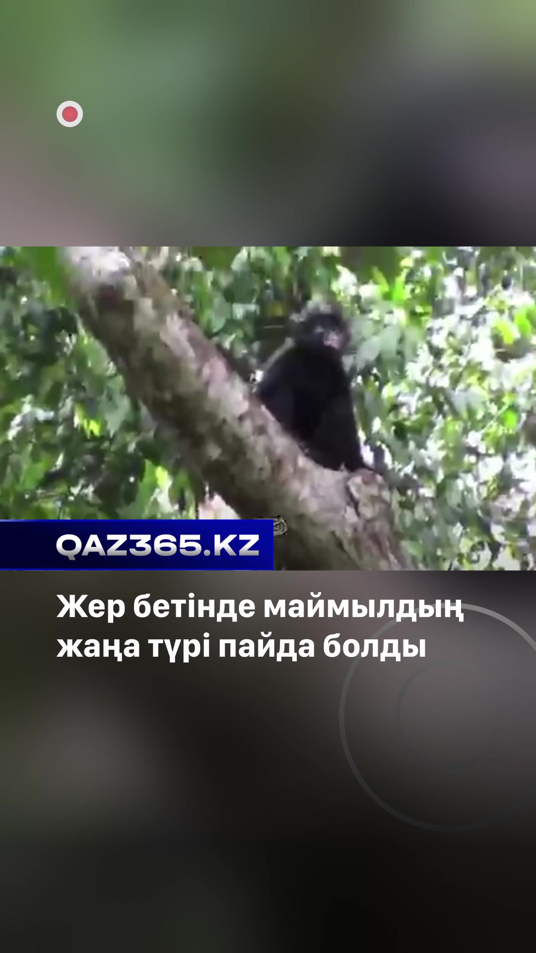 @Qaz365.kz | Новости Казахстана