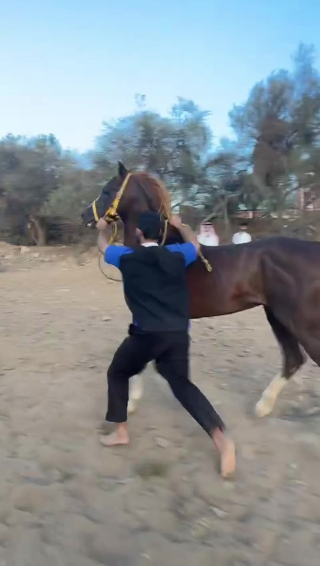 @بـاسـل الـوادعـي⭐️🐎