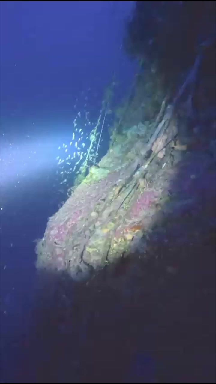 @NORTHCOAST DIVERS